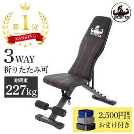 【レビュー記載で2年保証＆パワーグリッププレゼント】 トレーニングベンチ 折りたたみ 3way アンタレス ANTARES 筋トレ ベンチ インクラインベンチ アジャスタブルベンチ 7段階調節 角度調整 トレーニング レッグカール 省スペース たためる 安全 ピン 男性 女性 折り畳み