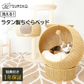 楽天市場 猫 ベッド ラタンの通販