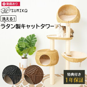 猫 キャットタワー おしゃれの人気商品 通販 価格比較 価格 Com