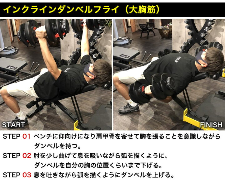 プロトレーナー監修済み フラットベンチ インクライン デクライン ダンベル トレーニングベンチ 折りたたみ式 インクラインベンチ 少し豊富な贈り物 プロトレーナー監修済み フラットベンチ インクライン デクライン ダンベル トレーニングベンチ 折りたたみ式 インクラインベンチ 少し豊富な贈り物