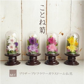 喪中見舞い　仏花　お供え 菊 仏壇 　供花　ガラスドーム 花【 「ことね菊」（造花は使っておりません）お悔やみ 菊 花 法要 和【ブリザードフラワー】プリザーブドフラワー あす楽 送料無料 （北海道＋660円・沖縄＋880円かかります）