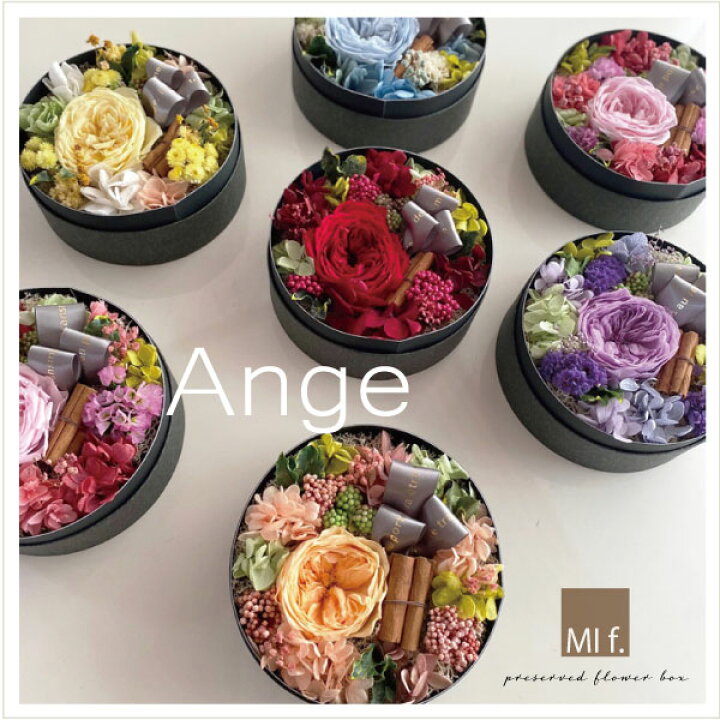 楽天市場 内祝い 誕生日 結婚祝い 花 ボックスフラワー ギフト Ange アンジェ プリザーブドフラワー あす楽 送料無料 北海道 660円 沖縄 0円かかります アレンジ 新築祝い フラワー プレゼント ブリザードフラワー Milanostyle Flower