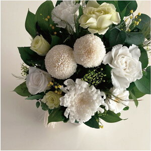 ފ݁@@~@V~@]@  yOE񂩁zԕrt ikC{660~@ꌧ{880~j e  @v yV1ʊl̂X  a yuU[ht