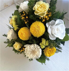 ފ݁@@~@V~@]@  yOE񂩁zԕrt ikC{660~@ꌧ{880~j e  @v yV1ʊl̂X  a yuU[ht