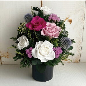 r@ފ݁@@]@  yzEˁzԕrt ikC{660~@ꌧ{880~j LXg@ @v yV1ʊl̂X  a yu