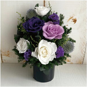 r@ފ݁@@]@  yzEˁzԕrt ikC{660~@ꌧ{880~j LXg@ @v yV1ʊl̂X  a yu