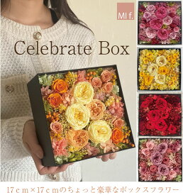全5色・プリザーブドフラワー ボックス【セレブレートボックス】平日13時までのご注文で即日発送可能　記念日 　お祝い　誕生日　結婚祝い　開業祝い　退職祝い クリスマス　ハロウィン