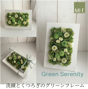 Ǌ| vU[uht[ } pl ؐ iTCY21cm×30cmja J Vz j s|} LO