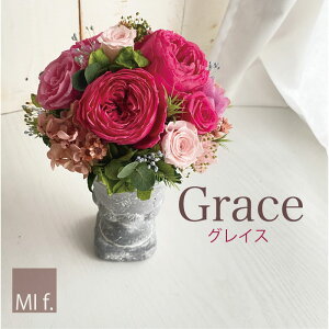 LOi@a@̓@vU[uht[ yGrace O[XzvU[uht[yõAWzy ikĆ{660~É{880~j