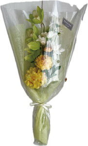 ԁ@ԁ@Q@d@ԁyz̃u[PzA[eBtBVt[@V~@@ ԁ@ e  @v  a @V@ikC{660~@ꌧ{