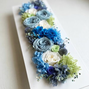 �J�X�j���@�V�z�j���@�L�O���@���j�� �Ǌ|�� �v���U�[�u�h�t�����[�yMagnoglia �}�O�m���A�z�r�W�l�X �M�t�g�@�������@�݌v�̔���1113�_�@�ސE�j�� �y���ԕs�g�p�z�S9�F ����40cm�E��p�N��