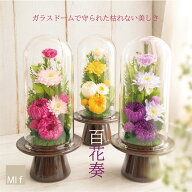 プリザーブドフラワー　新盆　初盆　お供え　彼岸　仏壇　 仏花 供花　ドーム 花【百花奏 ひゃっかそう】…