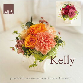 誕生日　お祝い　花 　プリザーブドフラワー【Kelly ケリー】送料無料（北海道＋660円　沖縄県＋880円）カーネーション　バラ　即日発送　フラワーアレンジ　プリザーブドフラワー　ナチュラルスタイル　フレンチ 誕生日　プレゼント