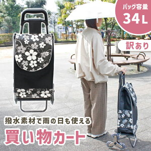 y󂠂zmitas VbsOJ[g  y ܂肽 J[g 34L }CobO 萫 L[obO    e s o U  ړ ו ^