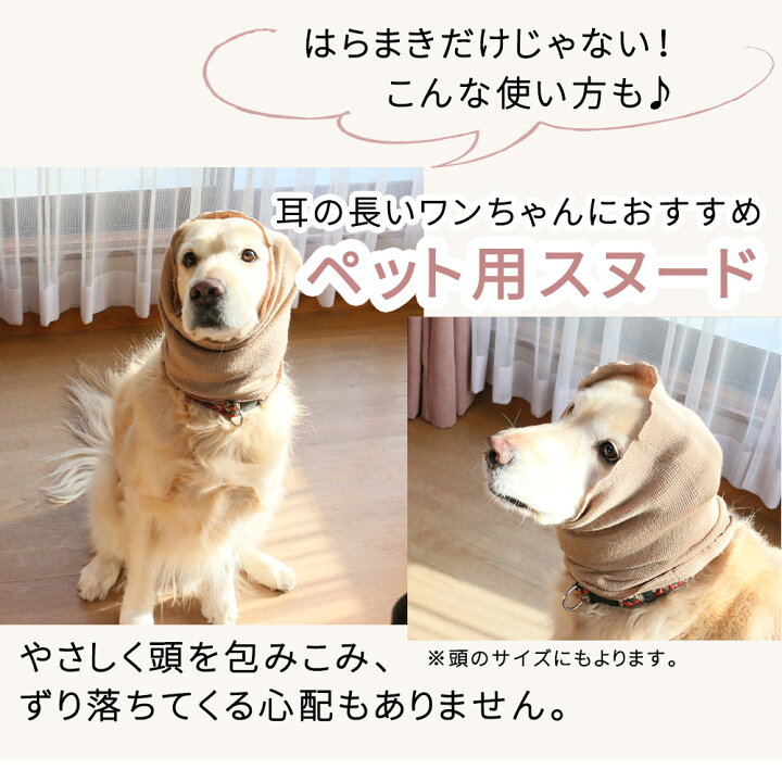 ペット 腹巻き Pancia 犬用 Xsサイズ Mサイズ シルク腹巻 Sサイズ ピンク Lサイズ 猫用 シルク80 L 術後用