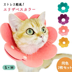 yMILASICztFg GUxXJ[ L 2Zbg tFgGUxXJ[ ybg ˂ lR  킢 v[g p ی p   XgXy ی 