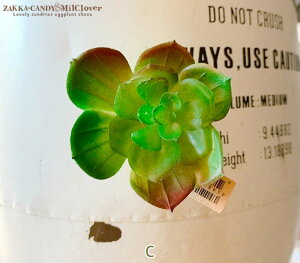 ボタニカル マグネット 多肉 サボテン BOTANICAL/ ナチュラル 雑貨 インテリア 新生活 おしゃれ かわいい