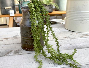 Ǌ| Ԃ tFCN A }TX ohy񂹐A i` G CeA  킢z