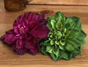 tFCNO[  _AsbNyCeAO[ XbO i` CeA G V  킢 fBXvCz