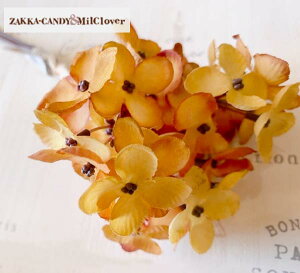 tFCNO[  XiOToh (13{)yCeAO[ XbO i` CeA G V  킢 fBXvCz