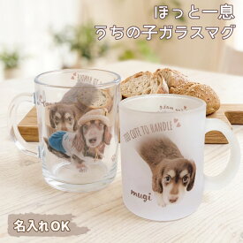 写真から作る うちの子 ガラスマグカップ プ 名入れ無料｜ペット 写真入り オーダーメイド ギフト 犬 猫 うちの子グッズ 世界でひとつ