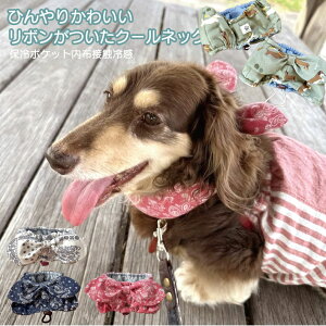 _bNXԓI񂱂̃N[lbN / nhCh lbNN[[ Ђ Made in Japan Yۗܕt o_i