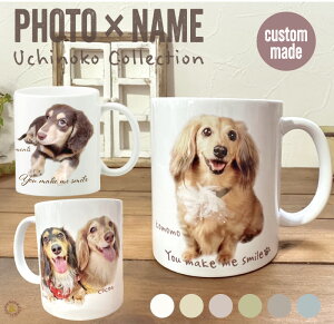 ʐ^ ̎q}OJbv Ήbybg ʐ^ I[_[Ch Mtg  L ̎qObY