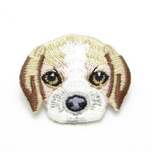 u[`  hJ by ob` KS55024yAnimal roadz{XgeA v[h pO r[O [NV[eA