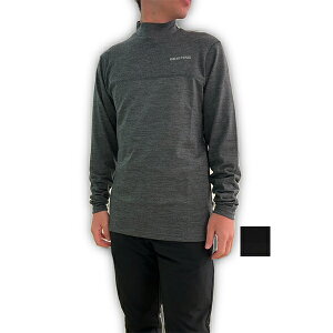 BRIEFING(u[tBO) MENfS WOOL LS HIGHNECK 2025H~V