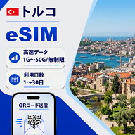 トルコ eSIM 無制限 4G 実名登録不要 高速データ通信 9:30~18:30サポート 海外 短期 即日開通 ネット規制…