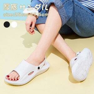 T_ T_ gO Jo[ T{  fB[X Y r[`T_ ؂ X|[c NbV Xbp tbg y JWA 킢 l t  Jy