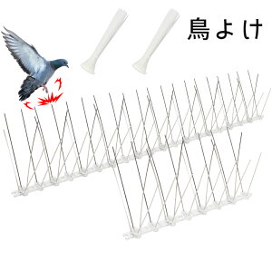 y2Zbgz悯 悯 JX悯 XeX XpCN y1mz x_ 悯 e 悯 XeXƂV[g 悯s 悯XpCN 悯j ǔL悯 C^` N