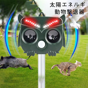 L悯 g ފ Qbފ ǔL 悯 쏜  \[[ 悯 ZT[ Ƃ悯 ObY L ʐ 13.5-55.5KHzg/LED̓tbVCgŌ/ԊOZT[ 