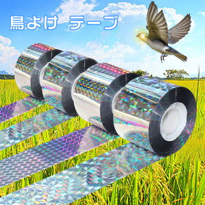 2_Zbg he[v Q΍ h zOe[v ʔ˃e[v JX 炷  ng  ݂艺^Cv  ƒ؉ ʔ x_ oRj[ 2.4*50cm