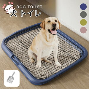  gC gg[ t`ꂵɂg[jOybgg[