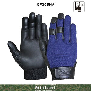 ilR|XΉjg{XL[@GF205@lCr[@OK@X}zΉ C