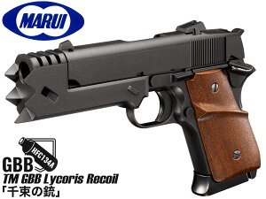 }C RXRC 瑩̏eTM MARUI Aj nhK іؐ瑩 KXu KXK Obv tg A TCg p}KW e 22