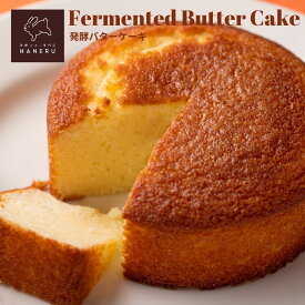 【ポイント5倍】発酵バター専門店のバターケーキ ハネル［送料無料］［常温］バレンタイン チョコ以外 冬ギフト 北海道産バター使用 誕生日 ケーキ ギフト 内祝い お取り寄せ スイーツ 焼菓子 2～4名様 プレゼント バターケーキ しっとり濃厚 贅沢バター香るスイーツ