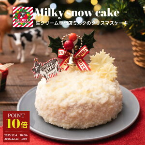 _|Cg10{I^124 20:00` N[Ղ̃NX}XP[L N[X~NyN[ Xm[h[ P[L 2025zz[ 2`3lTCY 2l 3l 4 \ Ⓚ N