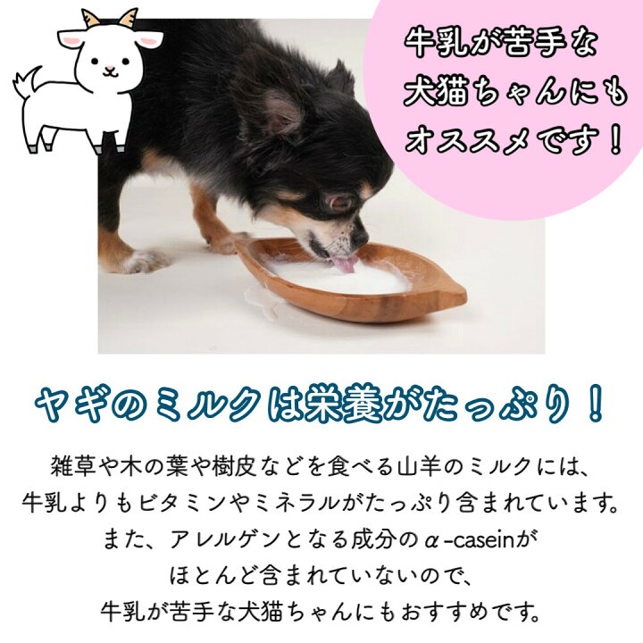 オランダ産ヤギミルク全脂1kg お得用大容量サイズ 大型犬 ヤギミルク 元気がない時でも驚きの食いつき ペット用 優れた消化吸収 無着色 まとめ買いに 無添加 豊富な栄養 オランダ産