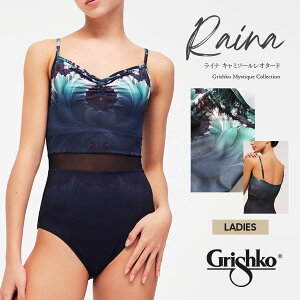 GrishkoiOVRjRAINAL~\[I^[hiDA4020LPj~XeB[NRNV Ci oG oGbX loG fB[X 2_܂Ń[։