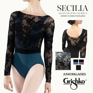 GrishkoiOVRjSECILIAOX[uI^[hiDA4065MP/DAD4065MPjoG I^[h 2_܂Ń[։