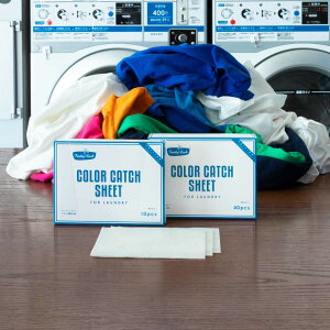 yFREDDY LECKz J[Lb`V[g 40P@tfBbN@󕨁@Fڂh~@h[