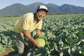 生 高原キャベツ（冬は雪下）訳有り 1箱（8~12個） 岡山の雪国 ひるぜん高原