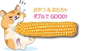 乾燥 とうもろこしの通販 価格比較 価格 Com