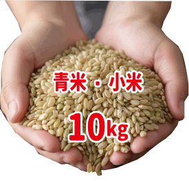 小鳥のえさ 青米 小米 くず米 9kg 小鳥のおやつ 鳥の餌 岡山産 送料無料