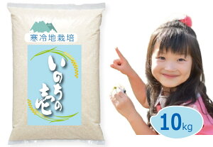 龍の瞳 5kg の人気商品一覧・価格比較 - 価格 com
