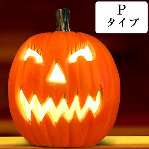 X}CpvL^ nEB  LED pvL ڂ nEB@pvL pvL^ dr CeA nEBp[eB[ pvLCg n