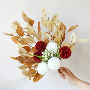  CeA  u[P ԑ tFCNt[ AWTC z DIY p[eB[ Be 뉀 Lb` ItBX i p[eB[   lHA ϏܐA S9 ͂Ȃ 