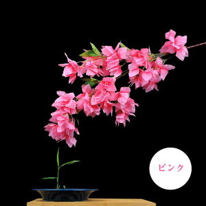   tFCNt[ TN  e[uAWg 4Zbg 100cm t[AWg CeAt[ tFCN   Ή t  u^ Xܑ X